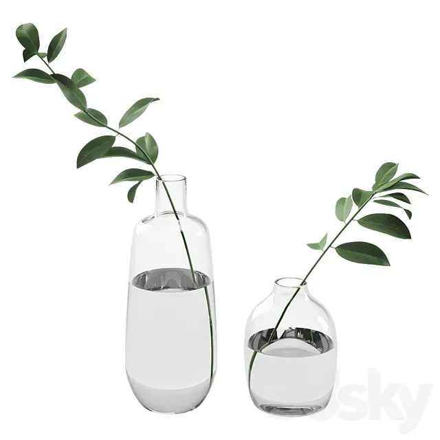 019 Branch in Bottle indoor plant 3DModel 019 Branch in Bottle indoor plant 3DModel