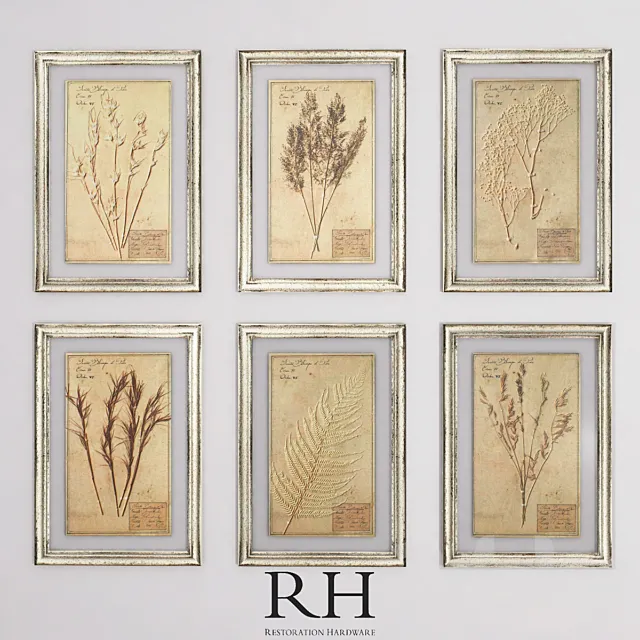 19TH C. FRAMED HERBARIUMS IVORY (SET OF 6) 3DModel 19TH C. FRAMED HERBARIUMS IVORY (SET OF 6) 3DModel