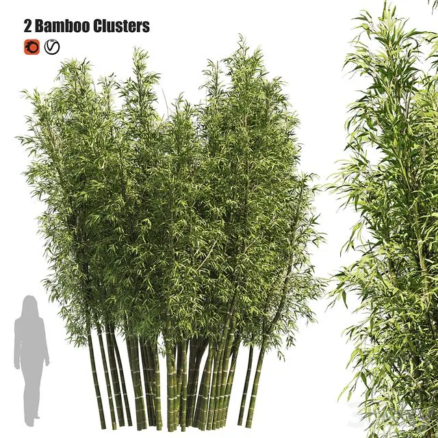 2 Bamboo Clusters 3D Model 2 Bamboo Clusters 3D Model