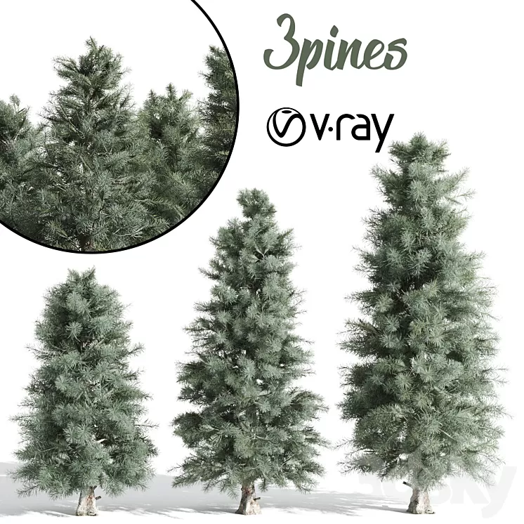 3 Pine tree 3D Model