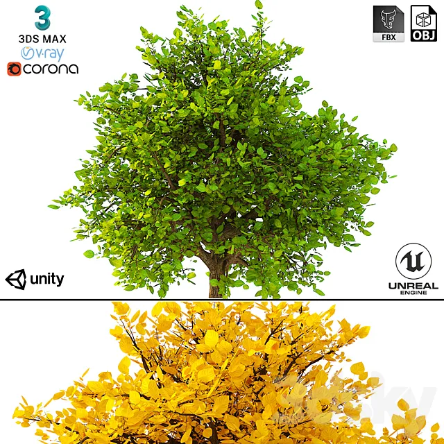 3D Model of the Bush No. 2 3D Model 3D Model of the Bush No. 2 3D Model