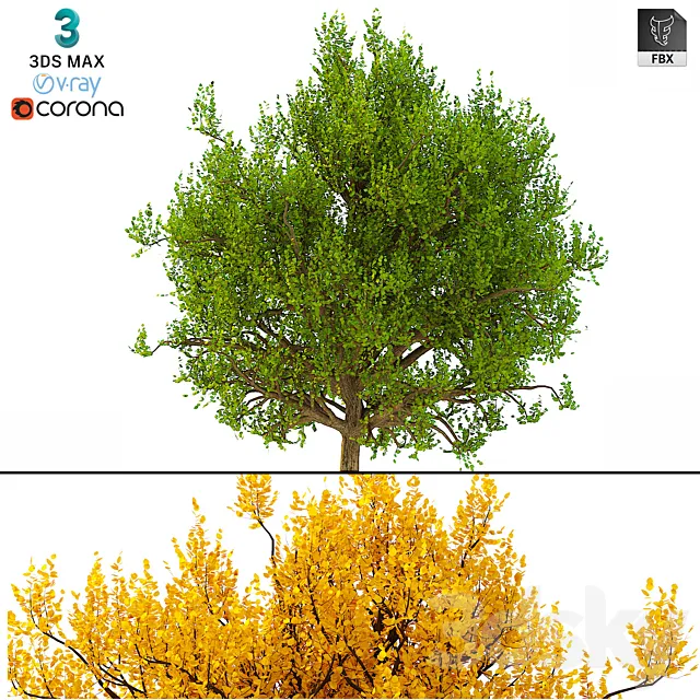 3D Model of the Bush No. 3 (3 seasons) 3D Model 3D Model of the Bush No. 3 (3 seasons) 3D Model