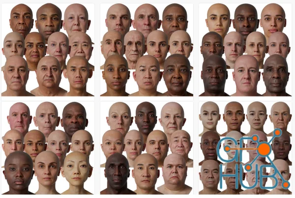 3D Scan Store – Male & Female 78x HD Head Scans Bundle