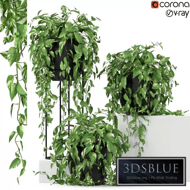 3DS SKY MODELS – 3DSKY Models – 13978