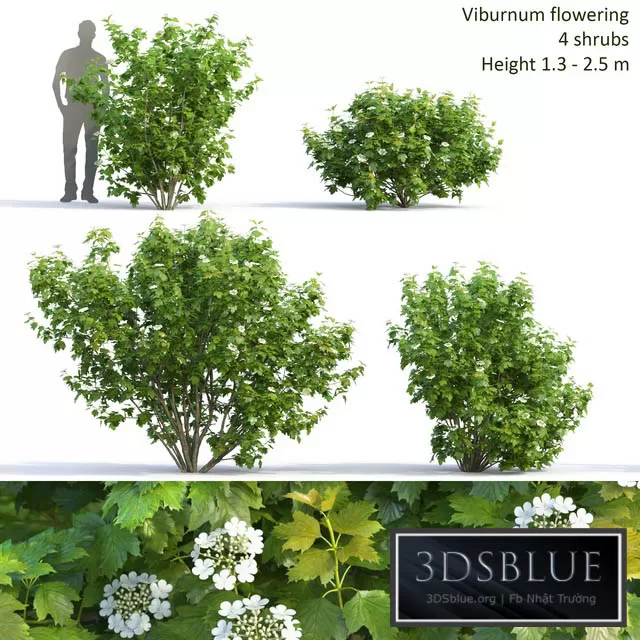 3DS SKY MODELS – 3DSKY Models – 14025