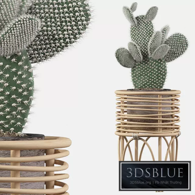 3DS SKY MODELS – 3DSKY Models – 14138