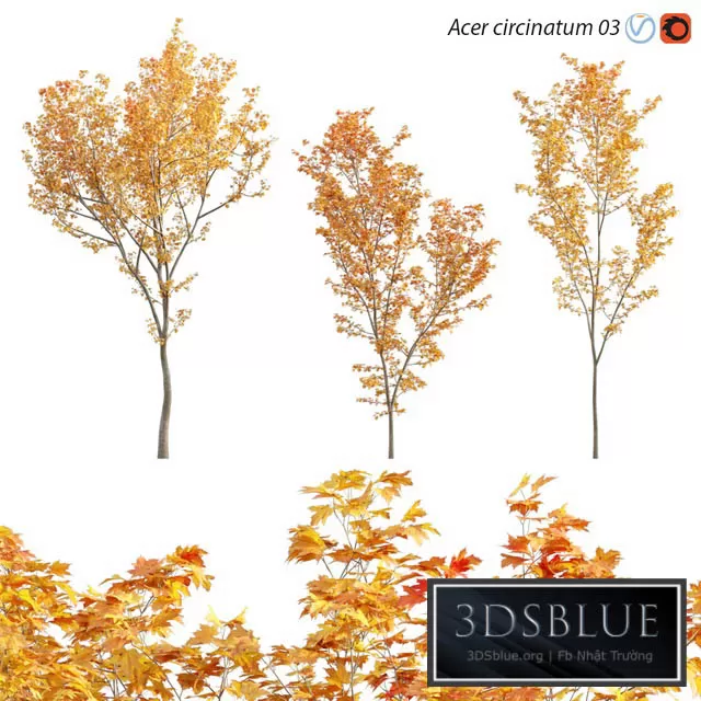 3DS SKY MODELS – 3DSKY Models – 14199 3DS SKY MODELS – 3DSKY Models – 14199