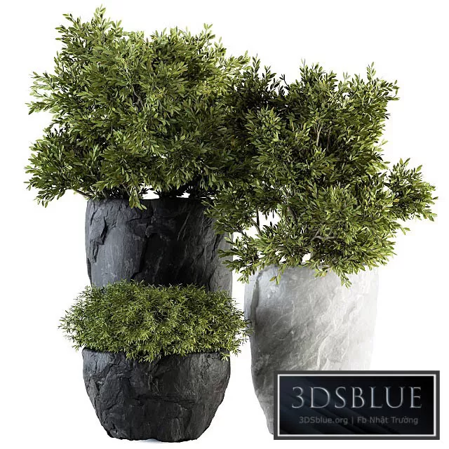 3DS SKY MODELS – 3DSKY Models – 14285