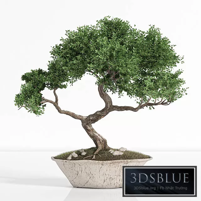 3DS SKY MODELS – 3DSKY Models – 14303