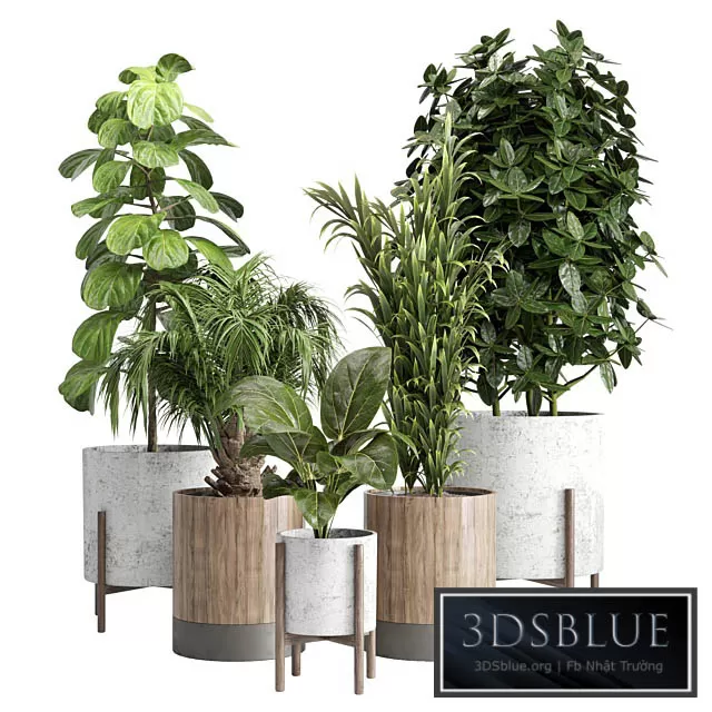 3DS SKY MODELS – 3DSKY Models – 14383