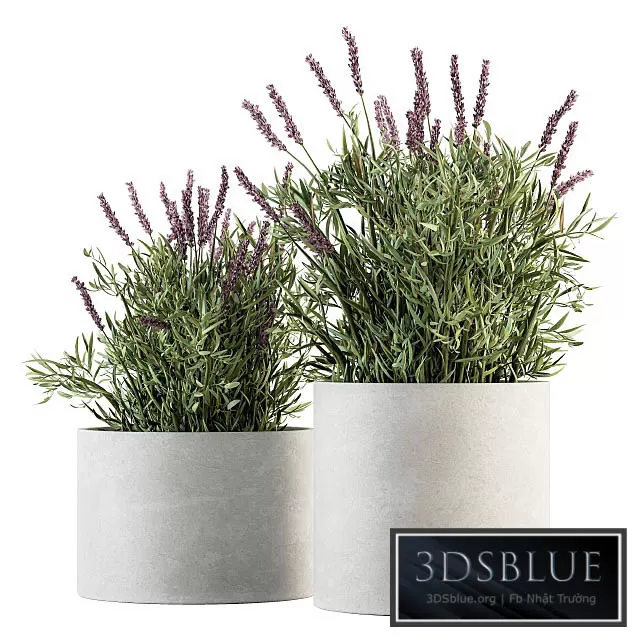 3DS SKY MODELS – 3DSKY Models – 14395 3DS SKY MODELS – 3DSKY Models – 14395