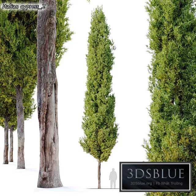 3DS SKY MODELS – 3DSKY Models – 14397 3DS SKY MODELS – 3DSKY Models – 14397