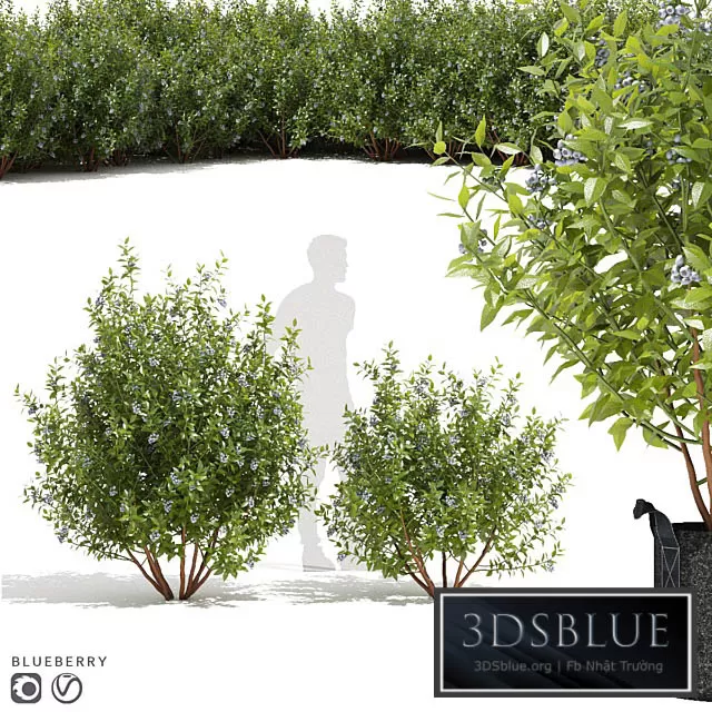 3DS SKY MODELS – 3DSKY Models – 14403 3DS SKY MODELS – 3DSKY Models – 14403