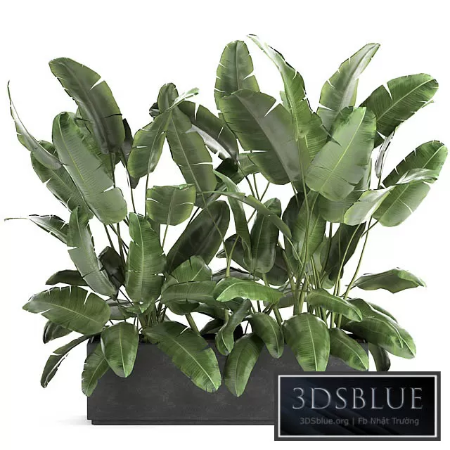 3DS SKY MODELS – 3DSKY Models – 14415 3DS SKY MODELS – 3DSKY Models – 14415