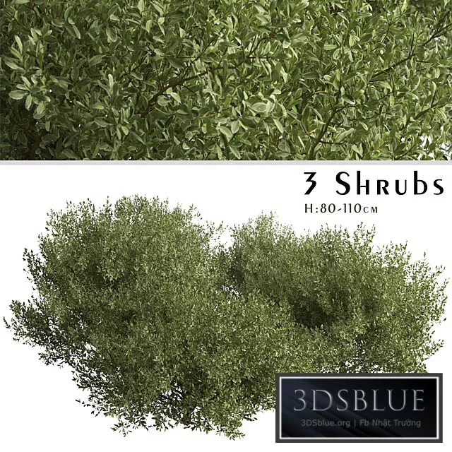 3DS SKY MODELS – 3DSKY Models – 14464 3DS SKY MODELS – 3DSKY Models – 14464