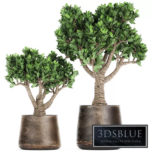 3DS SKY MODELS – 3DSKY Models – 14507 3DS SKY MODELS – 3DSKY Models – 14507