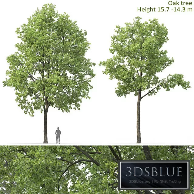 3DS SKY MODELS – 3DSKY Models – 14535 3DS SKY MODELS – 3DSKY Models – 14535