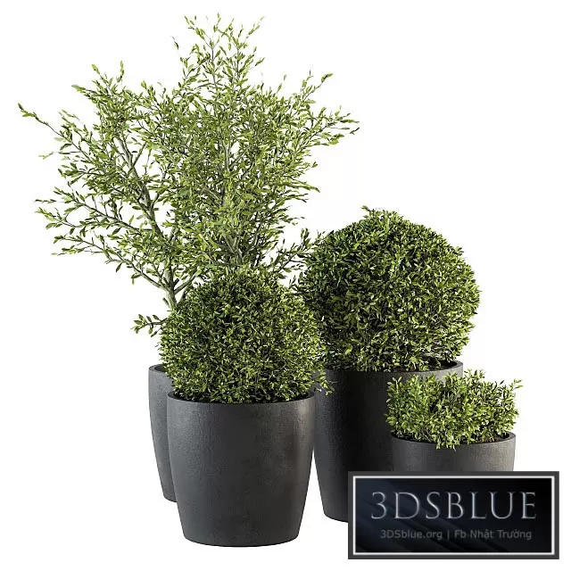 3DS SKY MODELS – 3DSKY Models – 14554 3DS SKY MODELS – 3DSKY Models – 14554