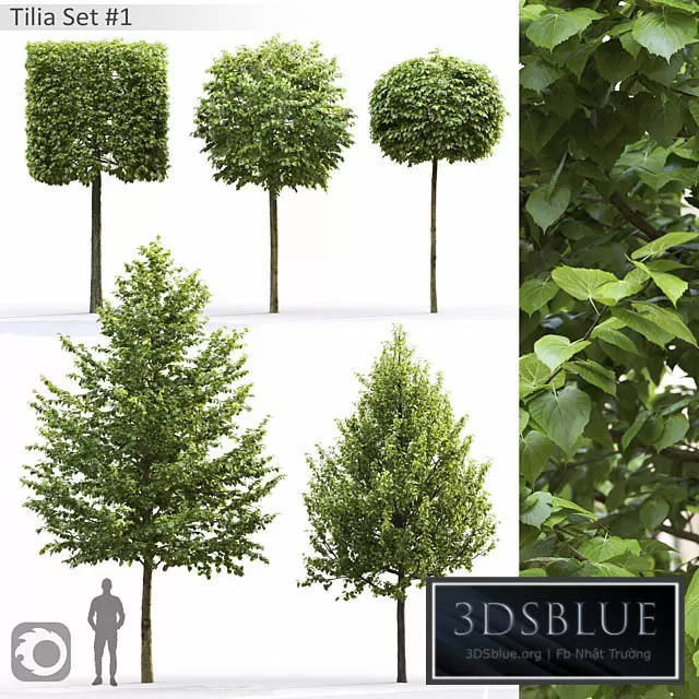 3DS SKY MODELS – 3DSKY Models – 14589