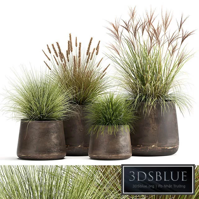 3DS SKY MODELS – 3DSKY Models – 14653