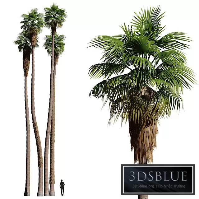 3DS SKY MODELS – 3DSKY Models – 14656