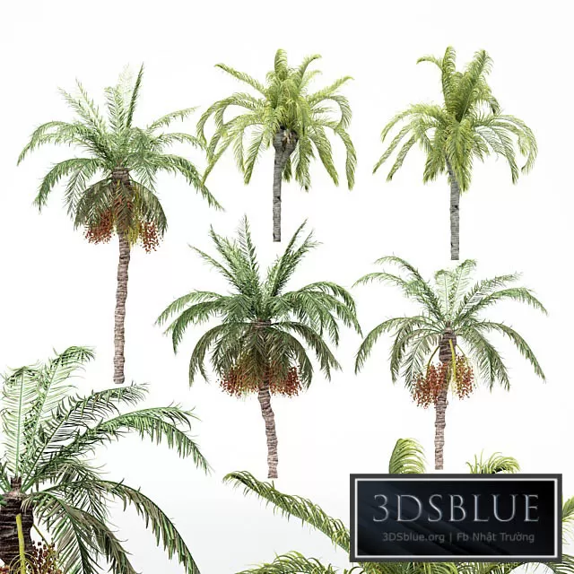 3DS SKY MODELS – 3DSKY Models – 14657