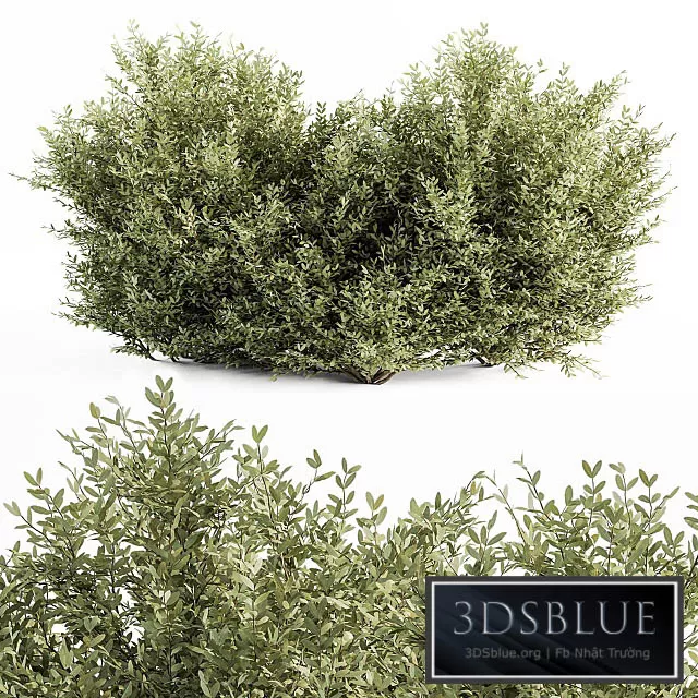 3DS SKY MODELS – 3DSKY Models – 14666