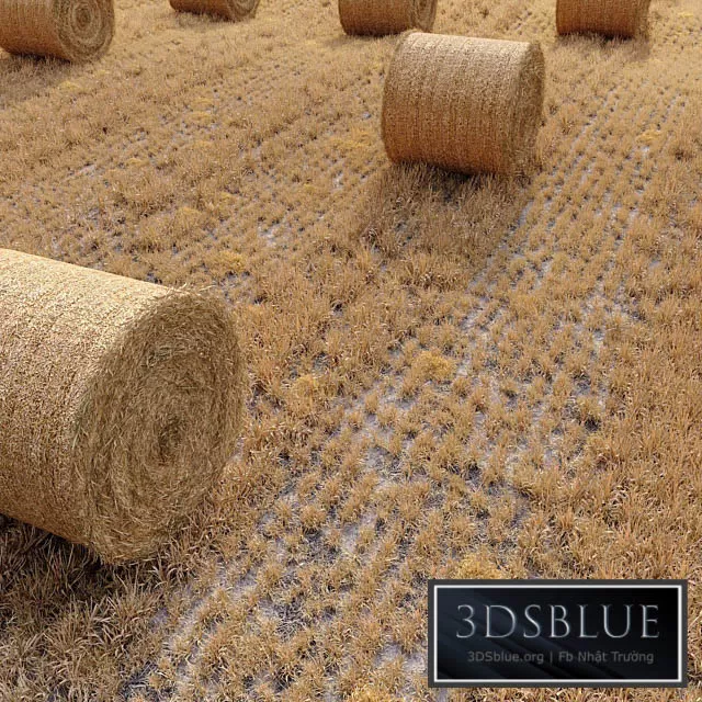 3DS SKY MODELS – 3DSKY Models – 14683