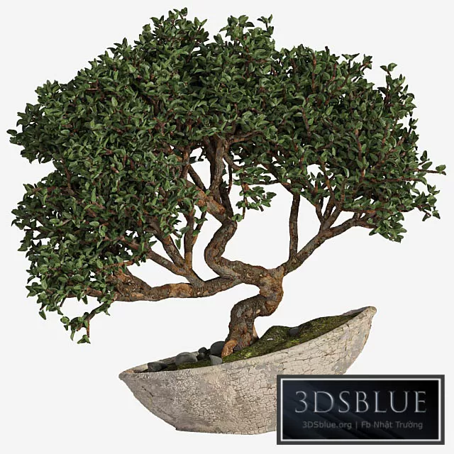 3DS SKY MODELS – 3DSKY Models – 14685