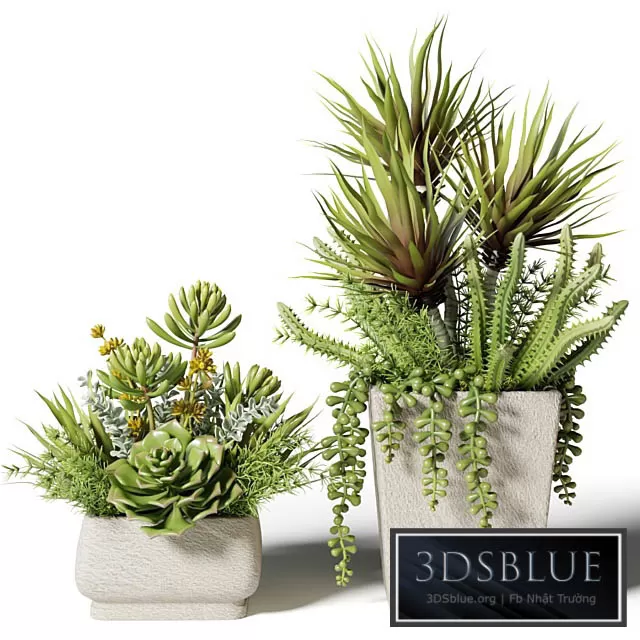 3DS SKY MODELS – 3DSKY Models – 14703