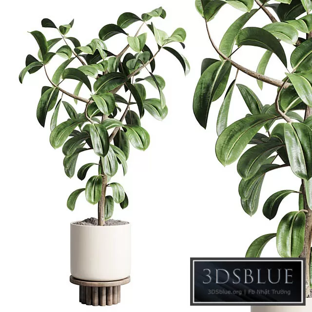 3DS SKY MODELS – 3DSKY Models – 14746 3DS SKY MODELS – 3DSKY Models – 14746