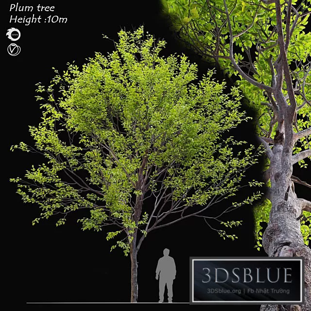 3DS SKY MODELS – 3DSKY Models – 14774 3DS SKY MODELS – 3DSKY Models – 14774