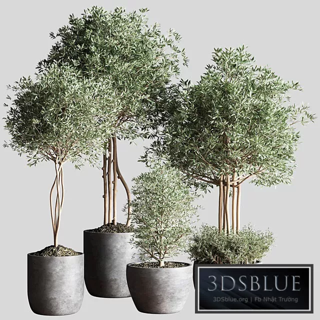 3DS SKY MODELS – 3DSKY Models – 14785 3DS SKY MODELS – 3DSKY Models – 14785