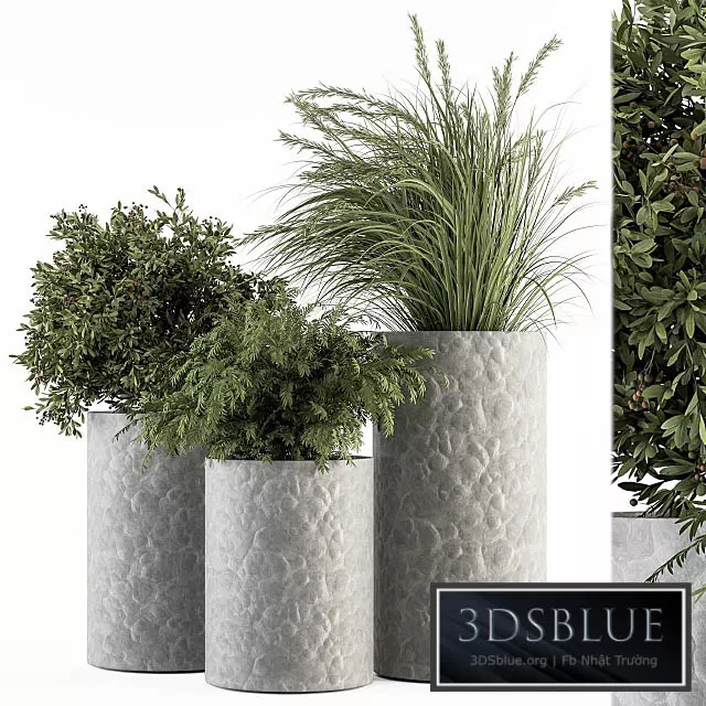 3DS SKY MODELS – 3DSKY Models – 14793