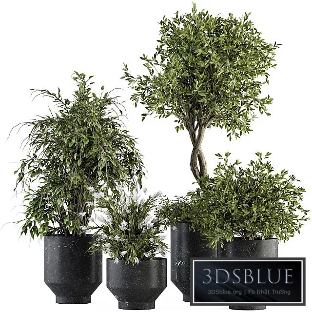 3DS SKY MODELS – 3DSKY Models – 14860 3DS SKY MODELS – 3DSKY Models – 14860