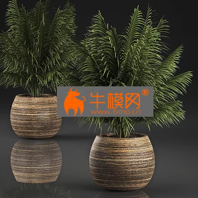 DECORATION – Decorative Palm In A Basket