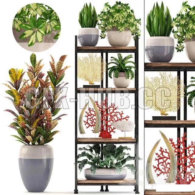 DECORATION – Decorative set. 6th DECORATION – Decorative set. 6th