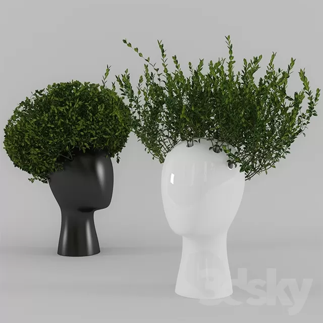 DECORATION – PLANT – 3DSMAX MODELS – 049