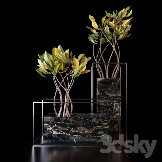 DECORATION – PLANT – 3DSMAX MODELS – 069