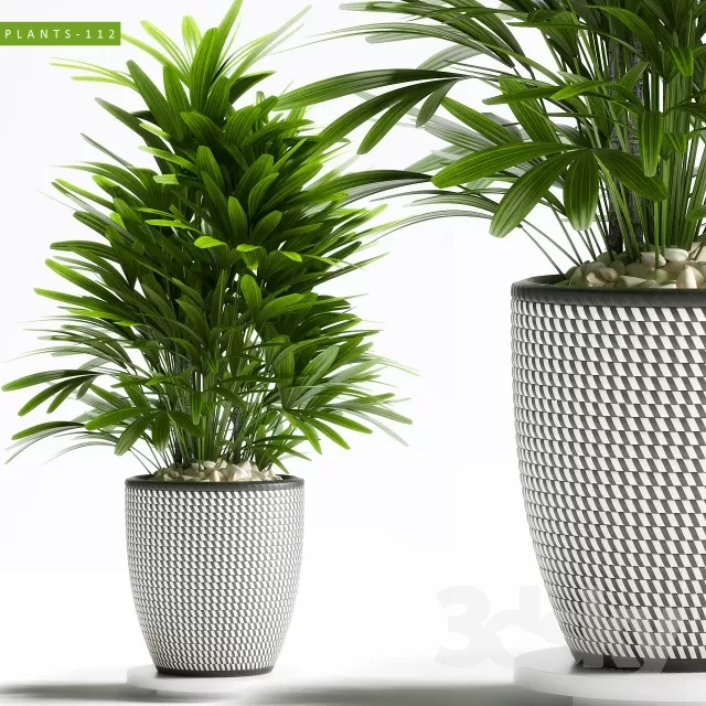 DECORATION – PLANT – 3DSMAX MODELS – 070