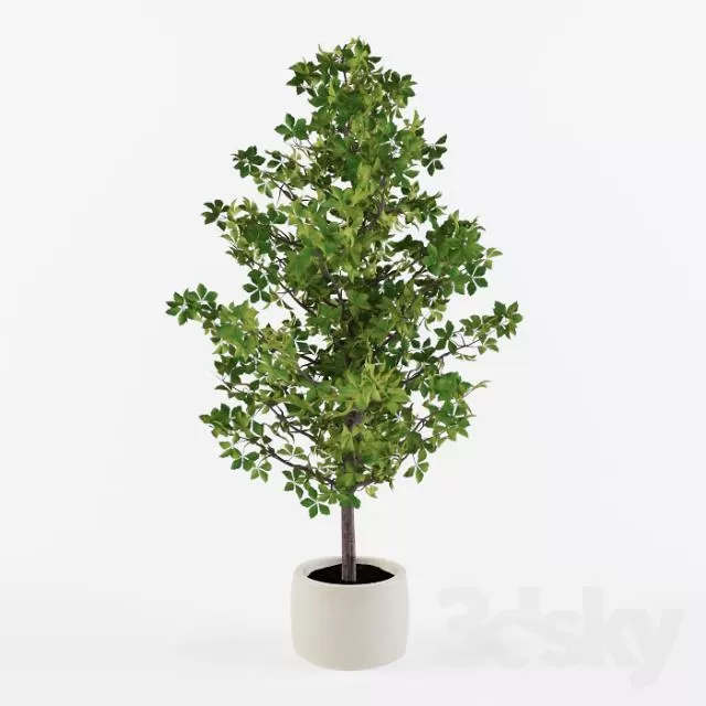 DECORATION – PLANT – 3DSMAX MODELS – 117