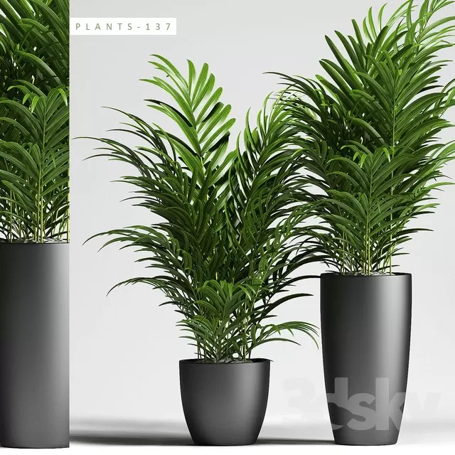 DECORATION – PLANT – 3DSMAX MODELS – 129