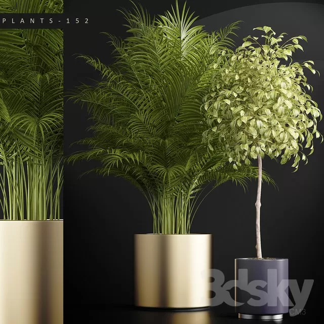 DECORATION – PLANT – 3DSMAX MODELS – 150