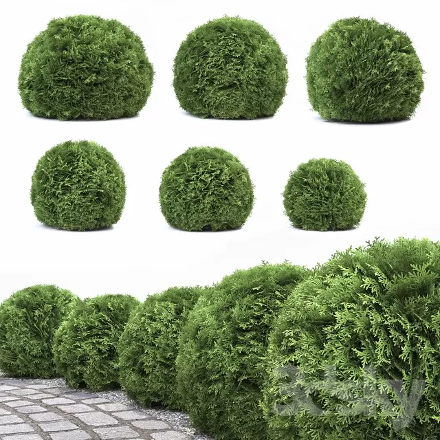 DECORATION – PLANT – 3DSMAX MODELS – 175