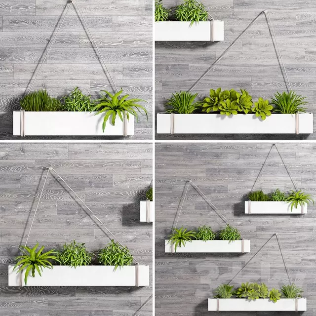 DECORATION – PLANT – 3DSMAX MODELS – 216