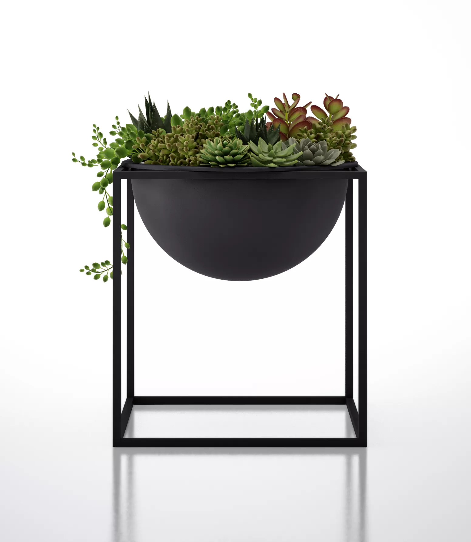 DECORATION – PLANT – 3DSMAX MODELS – 247