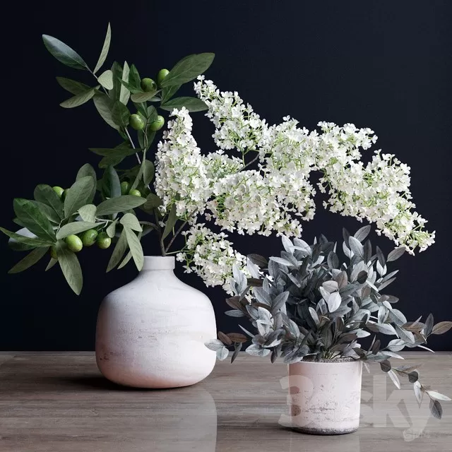 DECORATION – PLANT – 3DSMAX MODELS – 264