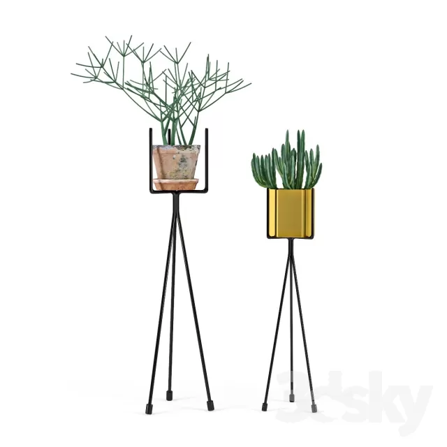 DECORATION – PLANT – 3DSMAX MODELS – 352