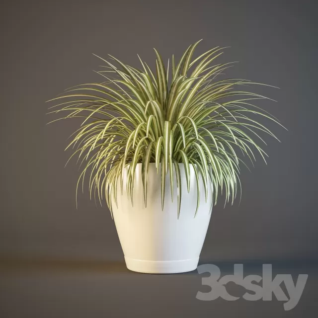 DECORATION – PLANT – 3DSMAX MODELS – 355