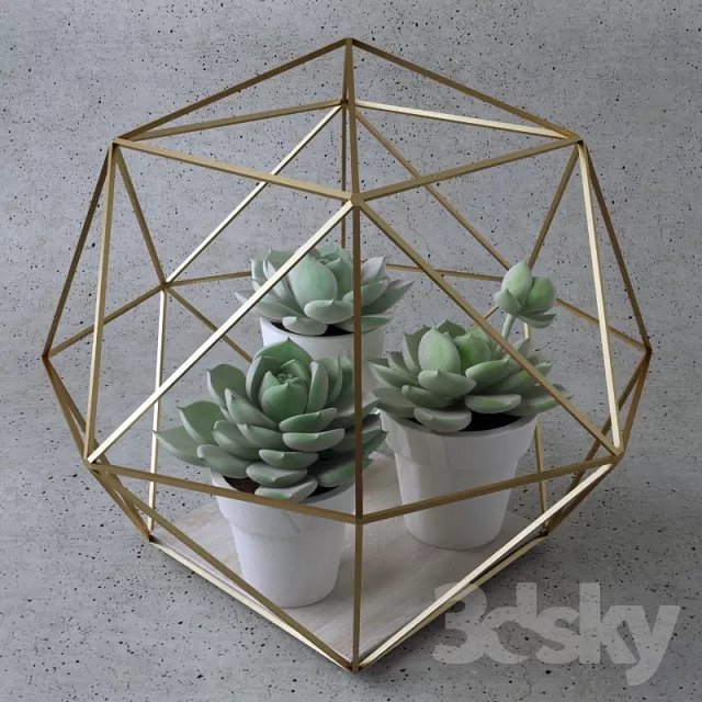 DECORATION – PLANT – 3DSMAX MODELS – 380